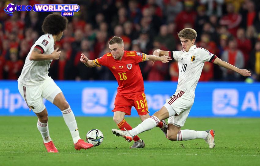 soi kèo vòng loại world cup Wales vs Bỉ