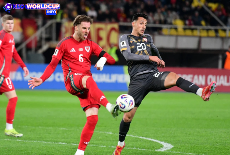 soi kèo Liechtenstein và Xứ Wales