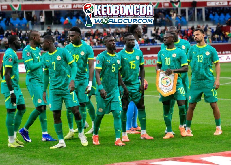 Senegal: Sư tử Teranga nung nấu hận thù hậu AFCON