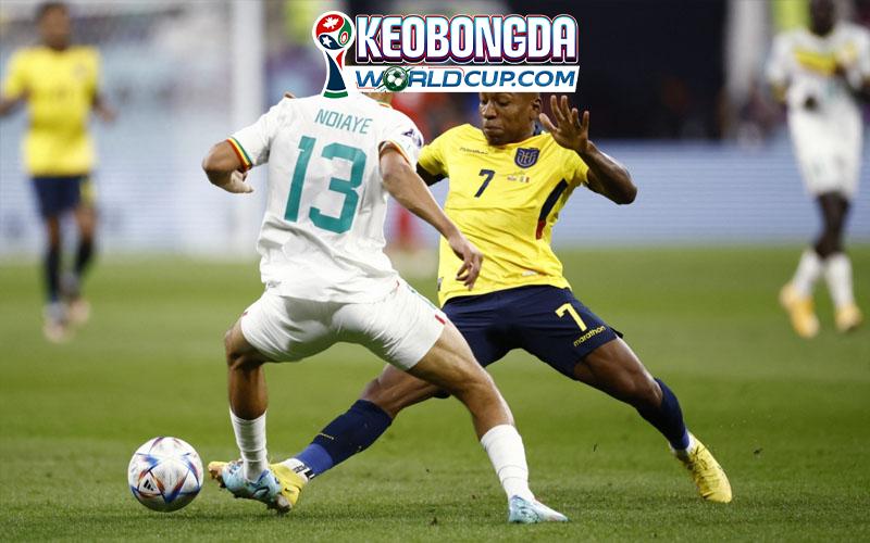 Soi kèo Bờ Biển Ngà vs Ecuador, 06h00 ngày 15/06, World Cup